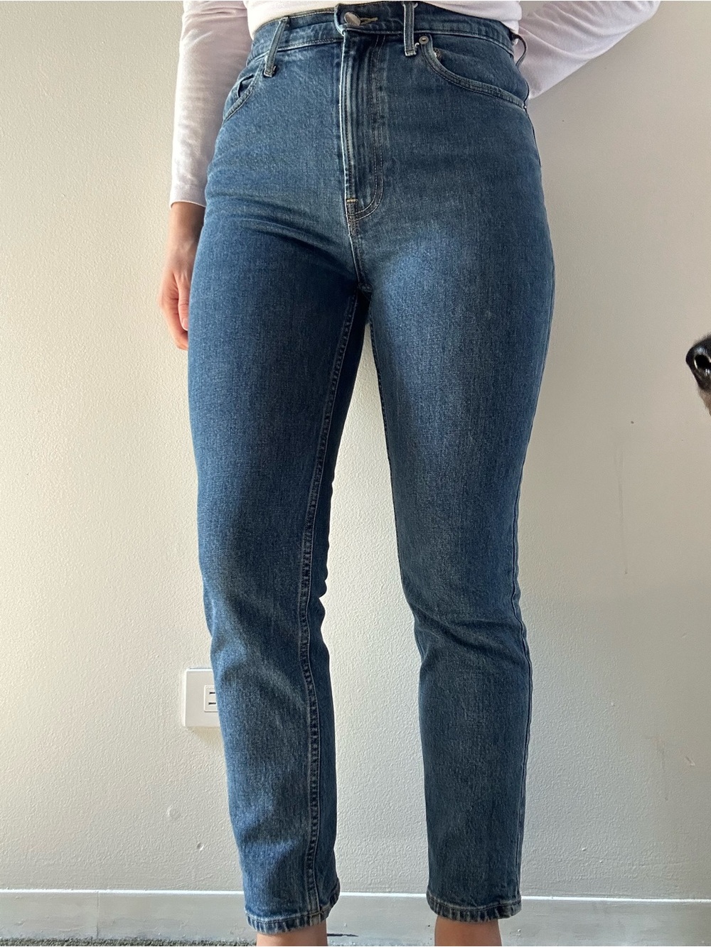 Everlane Skinny High-Rise Jeans in Dark Blue